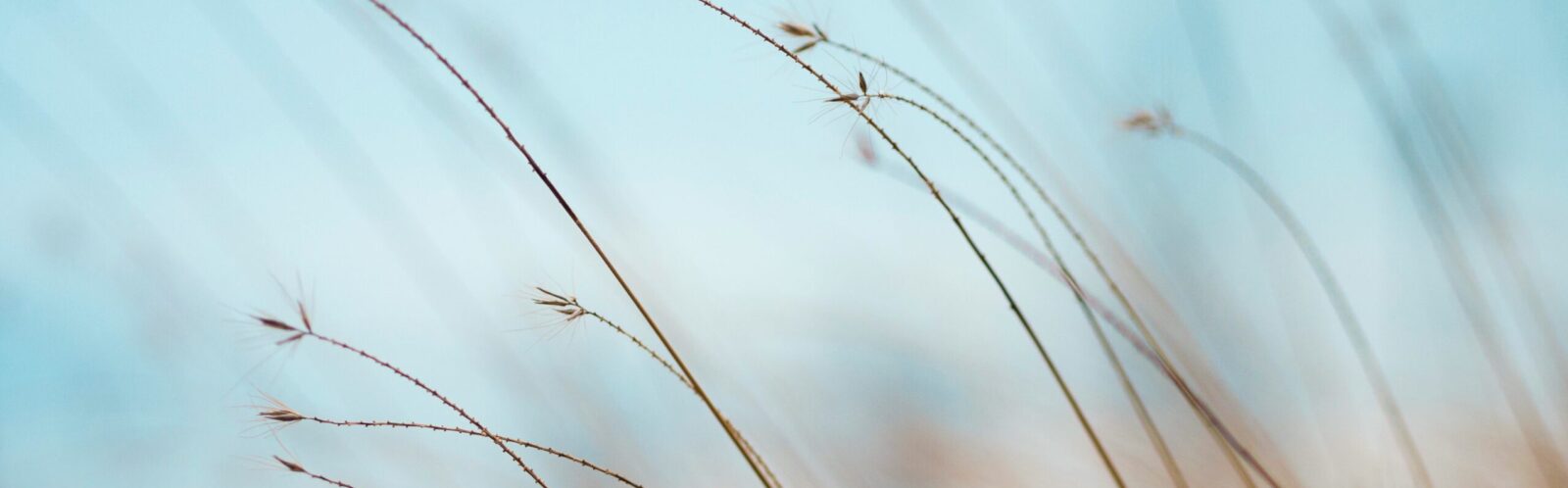 Enlightened Equilibrium